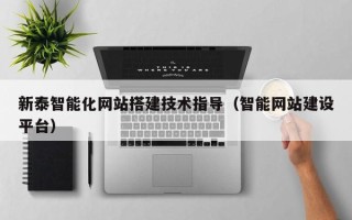 朝阳新泰智能化网站搭建技术指导（智能网站建设平台）